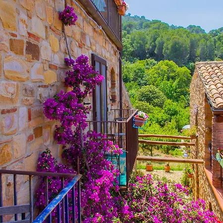 Kefa Holiday - Case Saponara Kır Evi Cefalù
