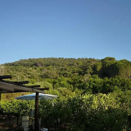 Kefa Holiday - Case Saponara Kır Evi